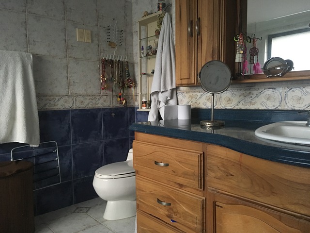 Casa de 5 alcobas en venta en El Carmen, Ibagué, 241 m² · foto 15 de 24