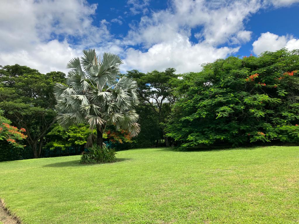 Casa de 3 alcobas en venta en Piamonte, Girardot, 350 m² · foto 11 de 24