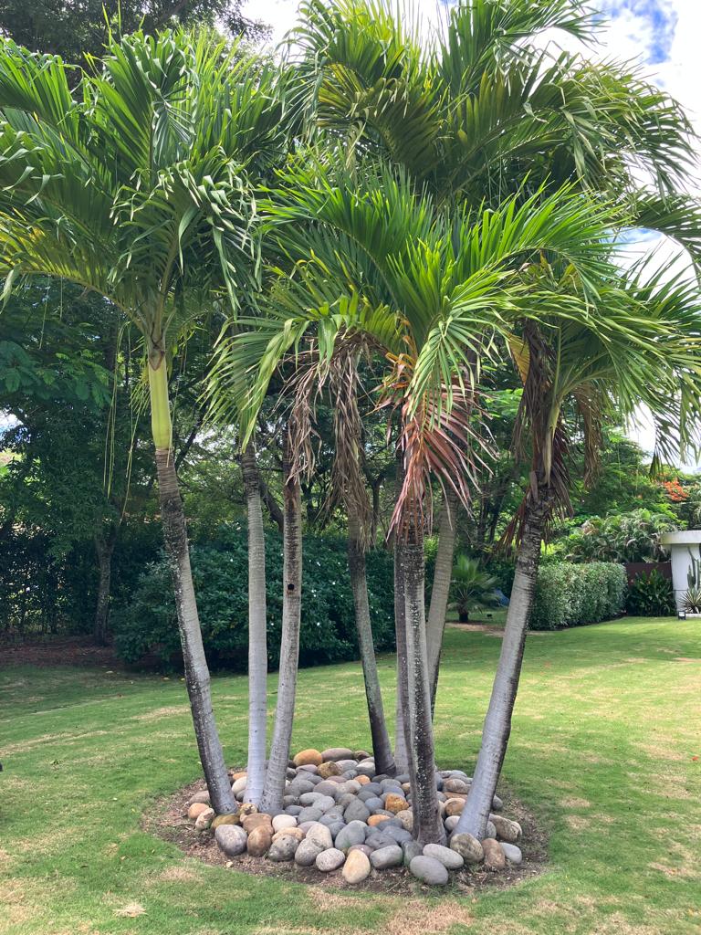 Casa de 3 alcobas en venta en Piamonte, Girardot, 350 m² · foto 15 de 24