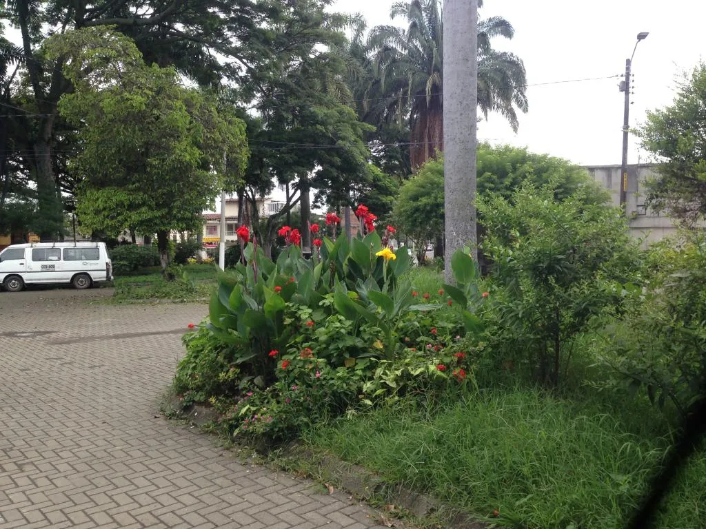Apartamento de 5 alcobas en venta en Central, Palmira, 393 m² · foto 8 de 24