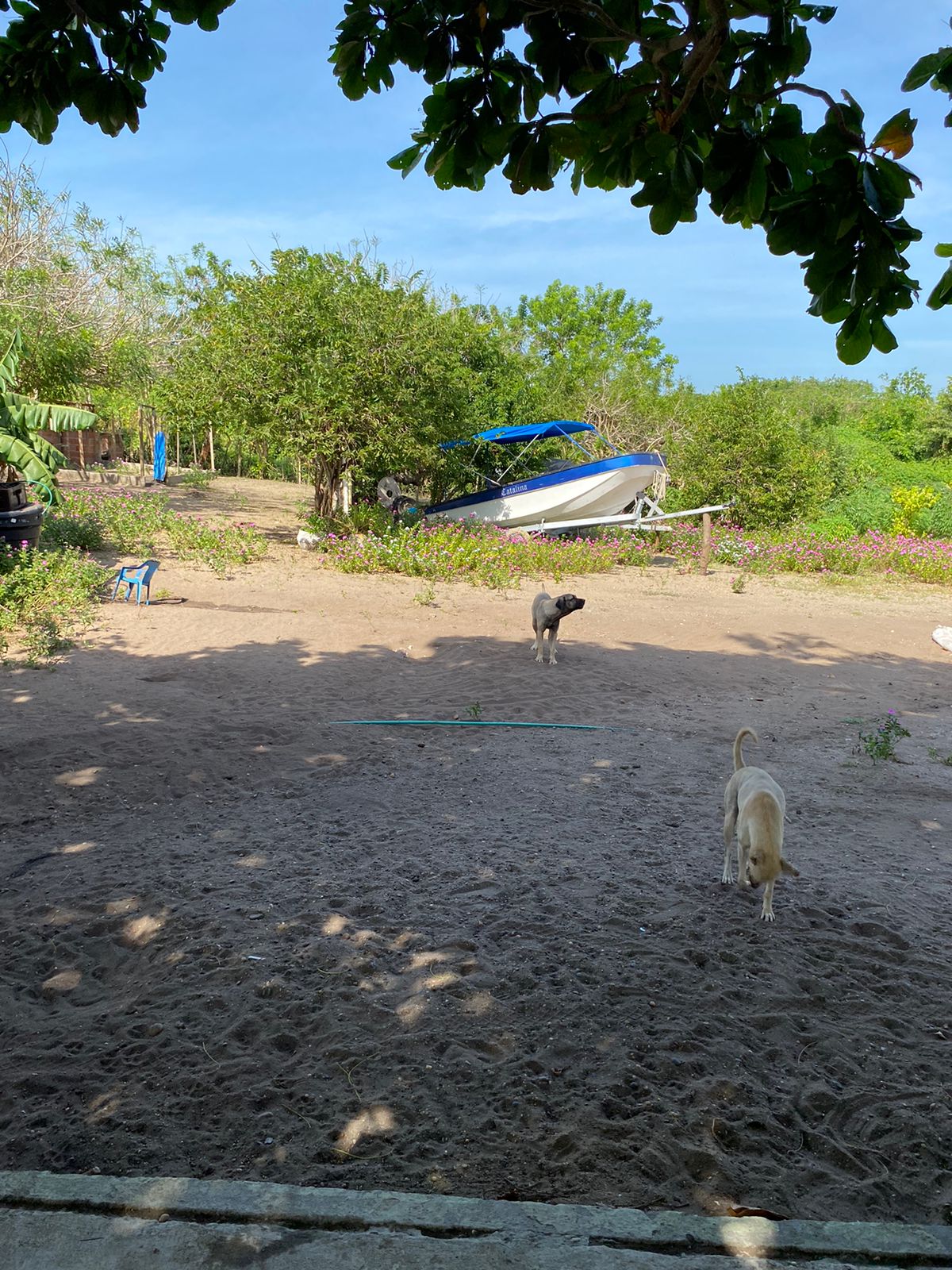 Lote en venta en Punta Canoa, Cartagena · foto 10 de 22