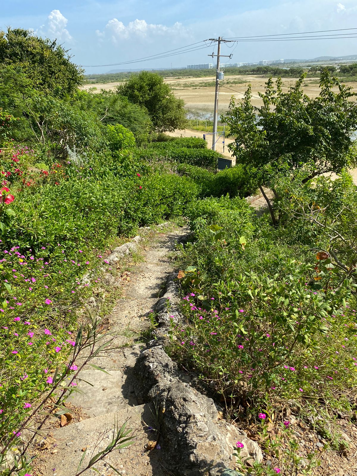 Lote en venta en Punta Canoa, Cartagena · foto 14 de 22
