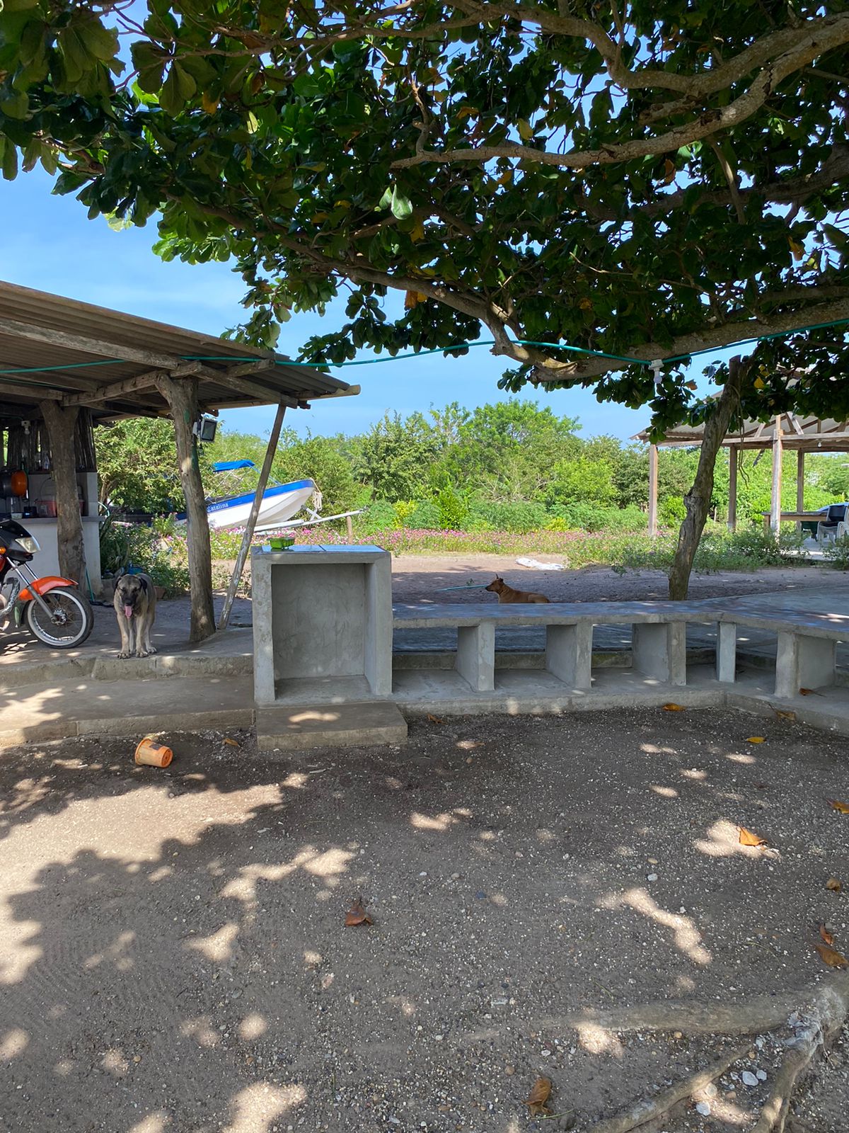 Lote en venta en Punta Canoa, Cartagena · foto 17 de 22