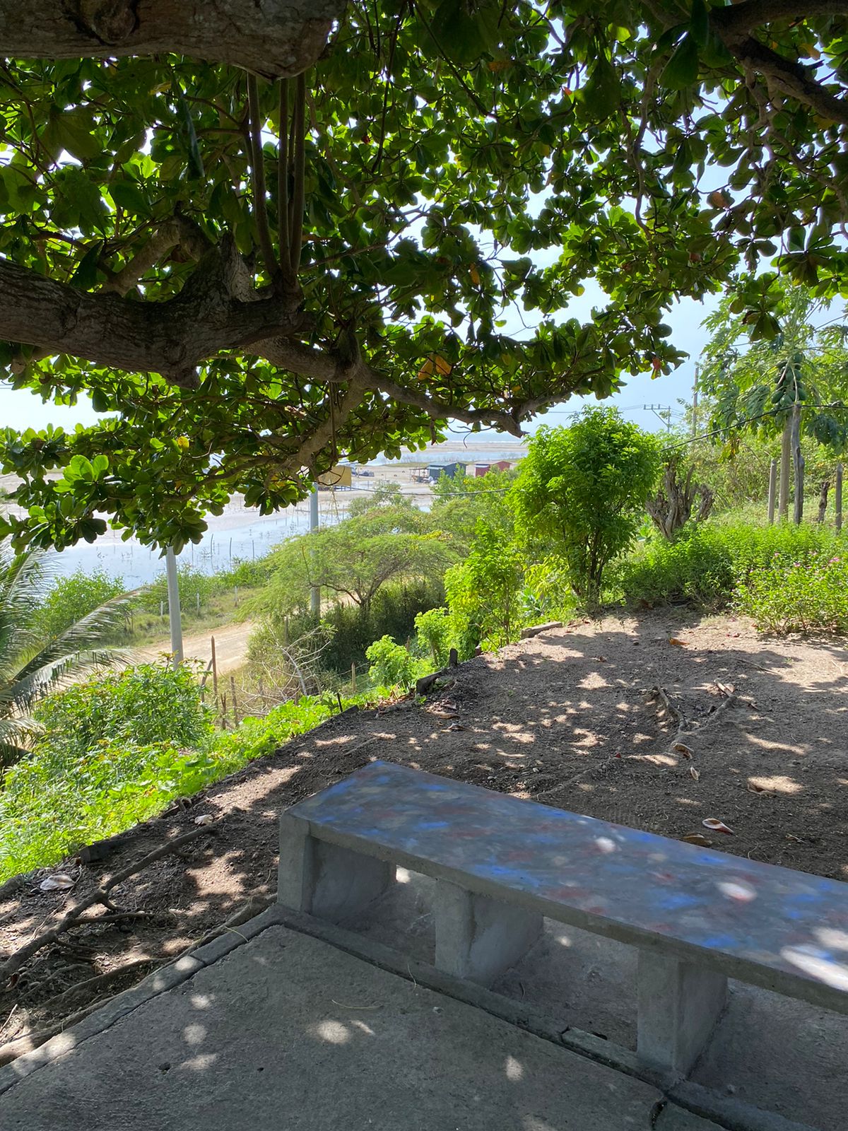 Lote en venta en Punta Canoa, Cartagena · foto 7 de 22