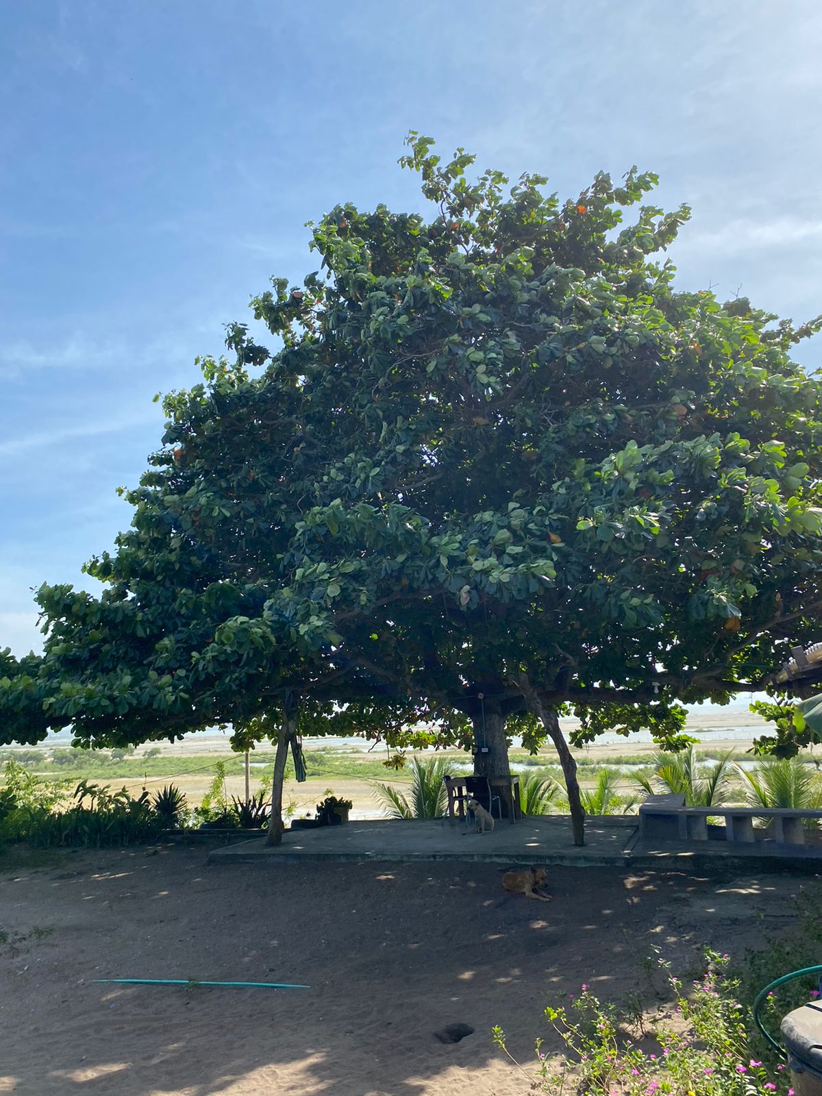 Lote en venta en Punta Canoa, Cartagena · foto 8 de 22