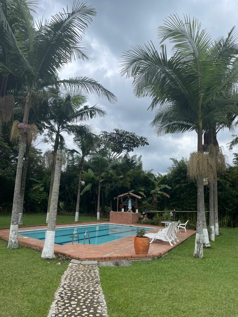 Finca en venta en Berracal, Guarne, 4700 m² · foto 4 de 13