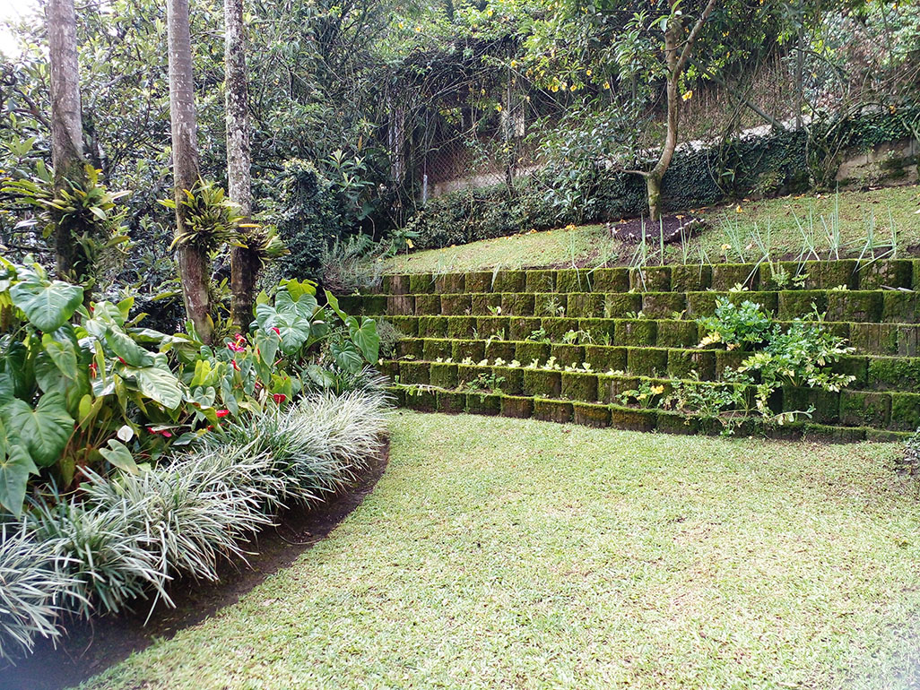 Casa en venta en Los Balsos, Medellín, 249 m² · foto 19 de 19