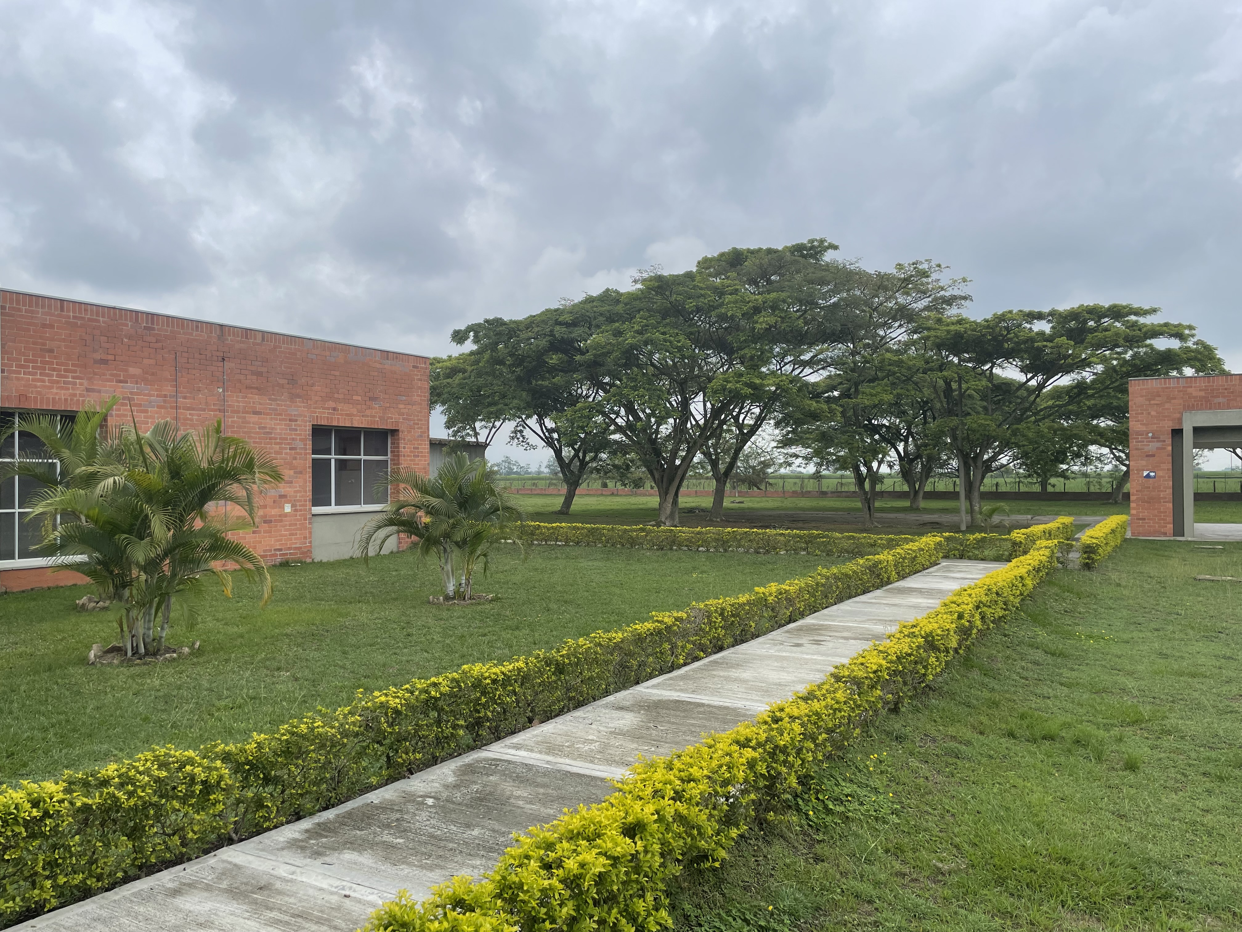 Bodega en venta en Cascajal, Cali, 4000 m² · foto 6 de 24