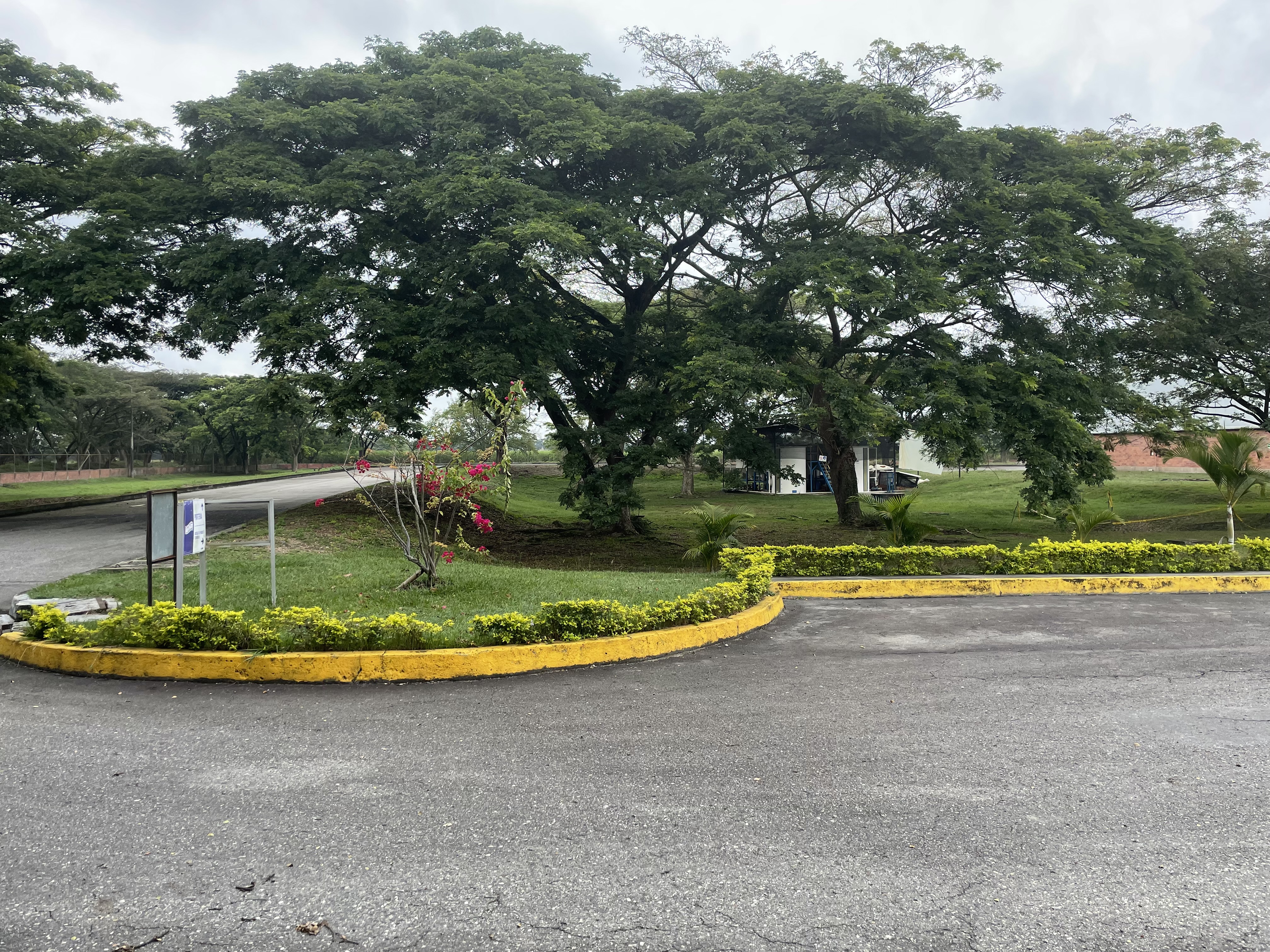 Bodega en venta en Cascajal, Cali, 4000 m² · foto 8 de 24