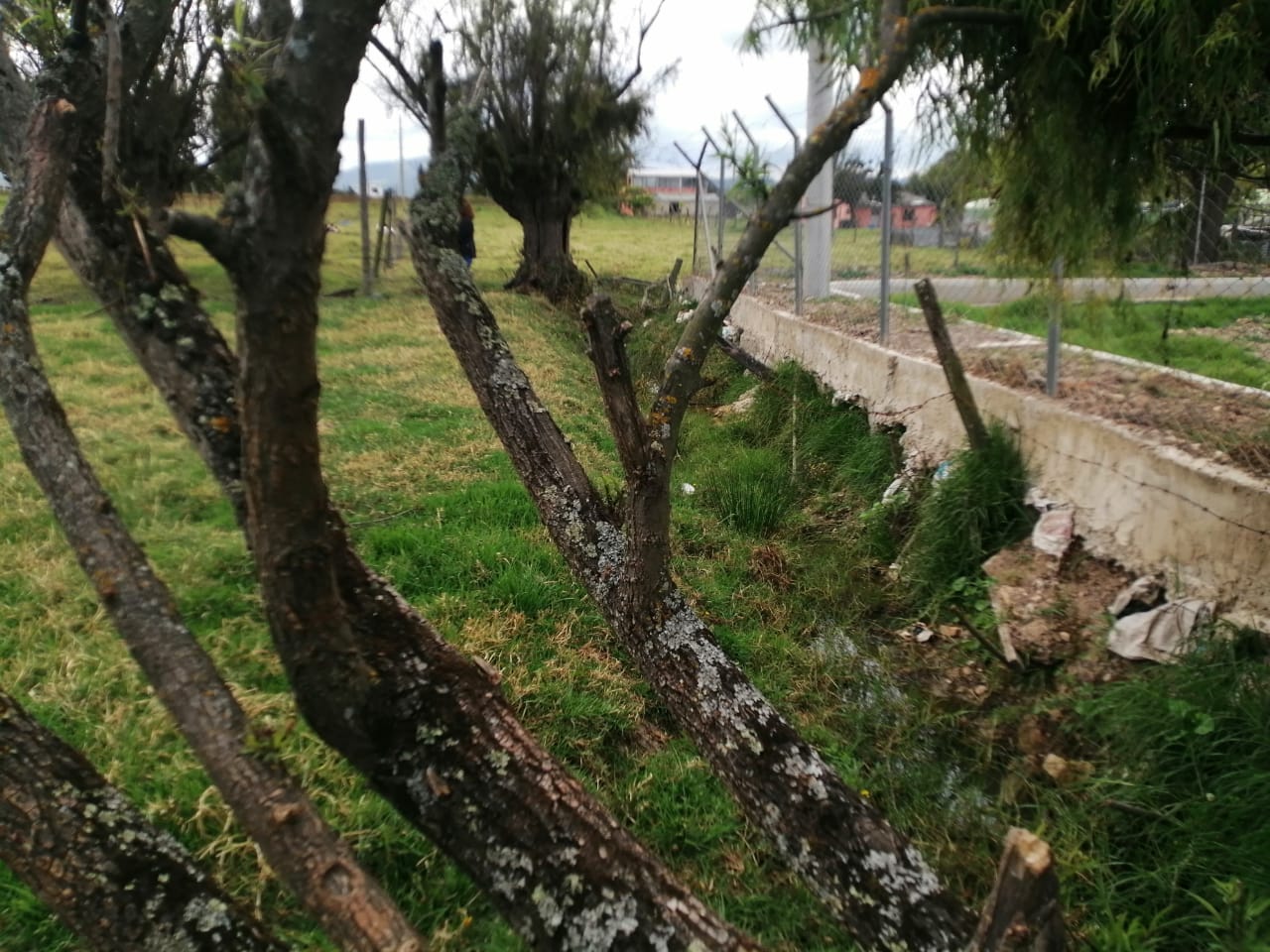 Lote en venta en Canavita, Tocancipá, 5270 m² · foto 2 de 16