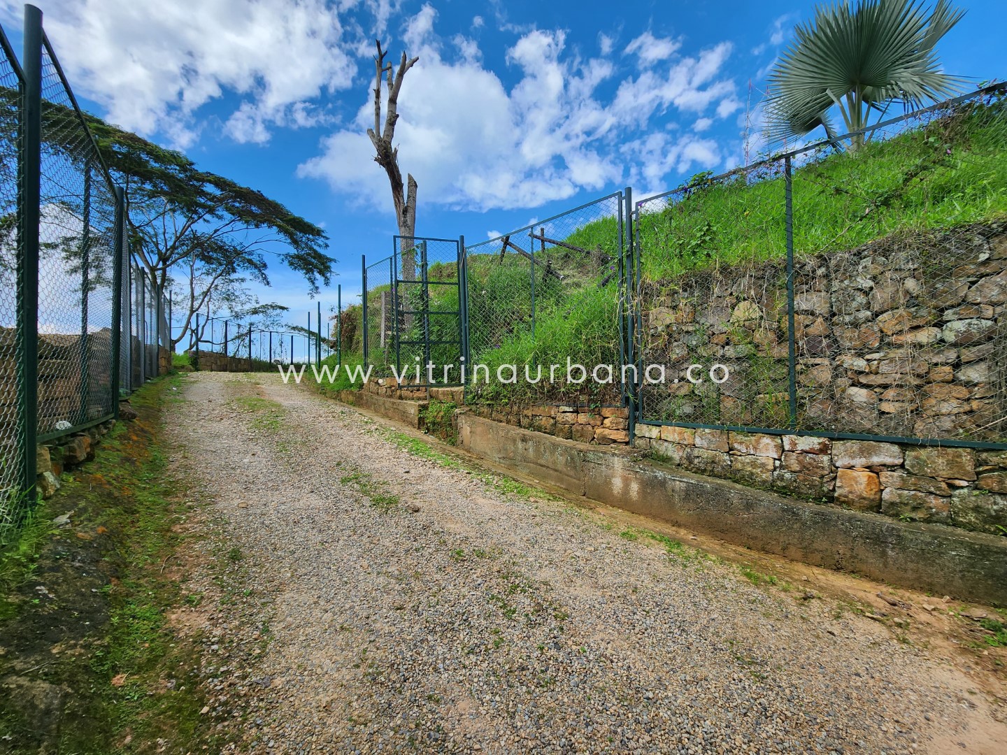 Lote en venta en San Jose, Bucaramanga, 1649 m² · foto 12 de 15
