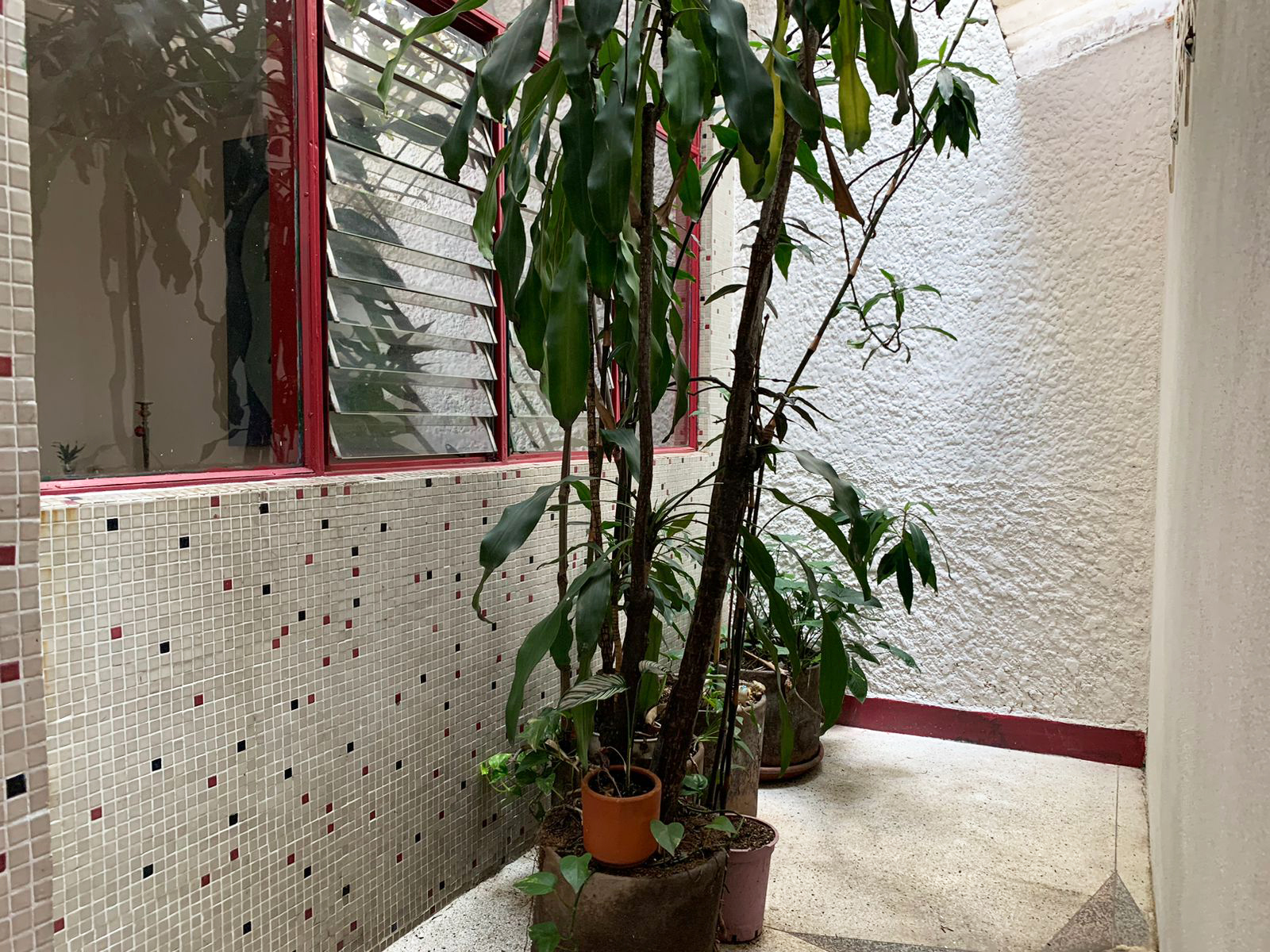 Local en arriendo en Manila, Medellín, 196 m² · foto 10 de 11