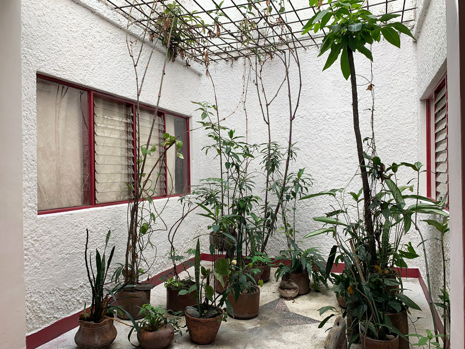 Local en arriendo en Manila, Medellín, 196 m² · foto 11 de 11