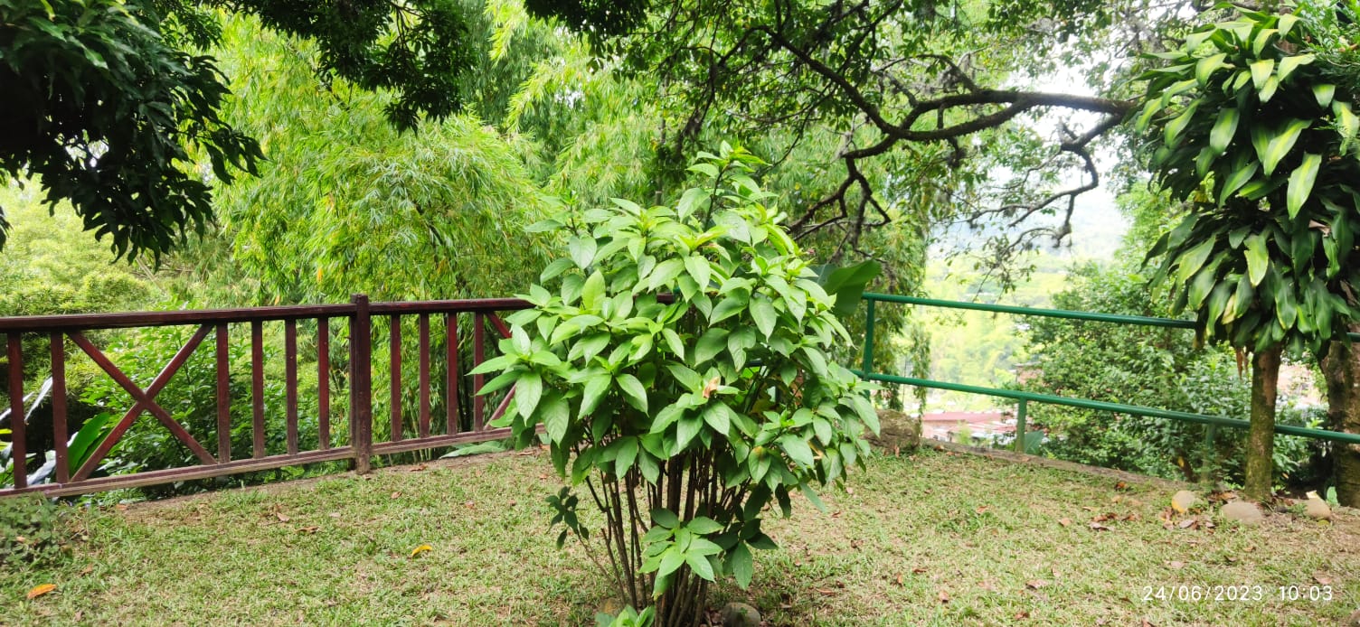 Finca en venta en La Buitrera, Cali, 4040 m² · foto 5 de 17