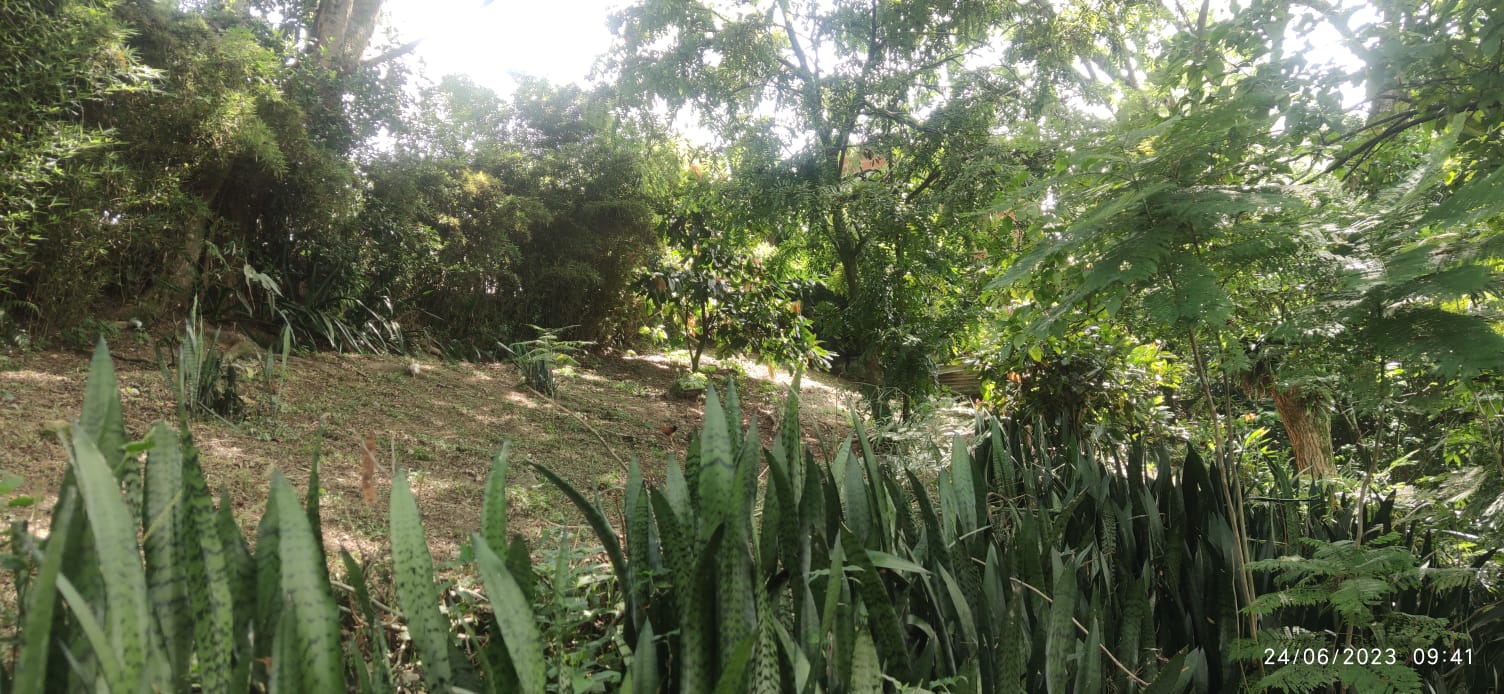 Finca en venta en La Buitrera, Cali, 4040 m² · foto 6 de 17