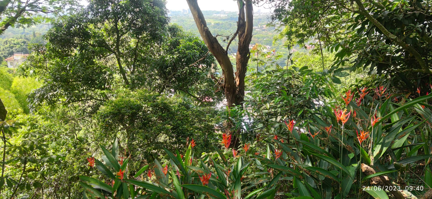 Finca en venta en La Buitrera, Cali, 4040 m² · foto 9 de 17