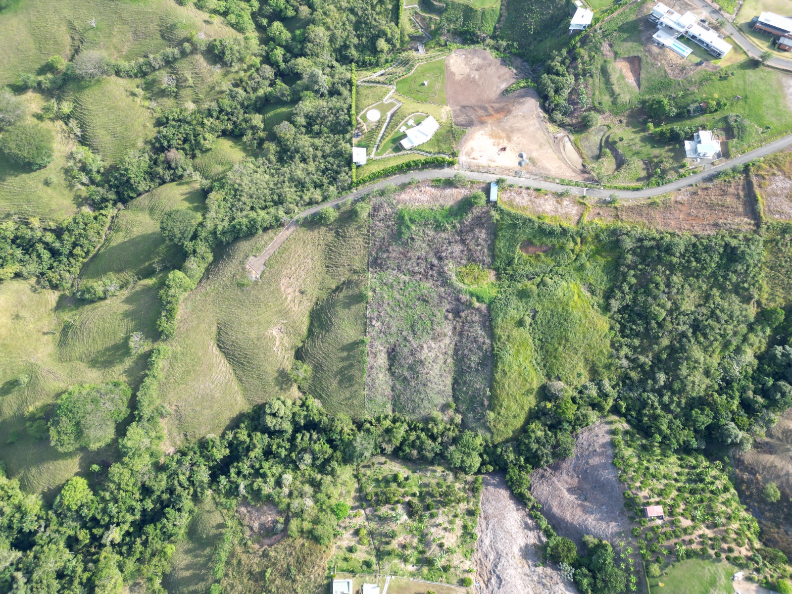 Lote en venta en Cerritos, Pereira, 11800 m² · foto 7 de 11