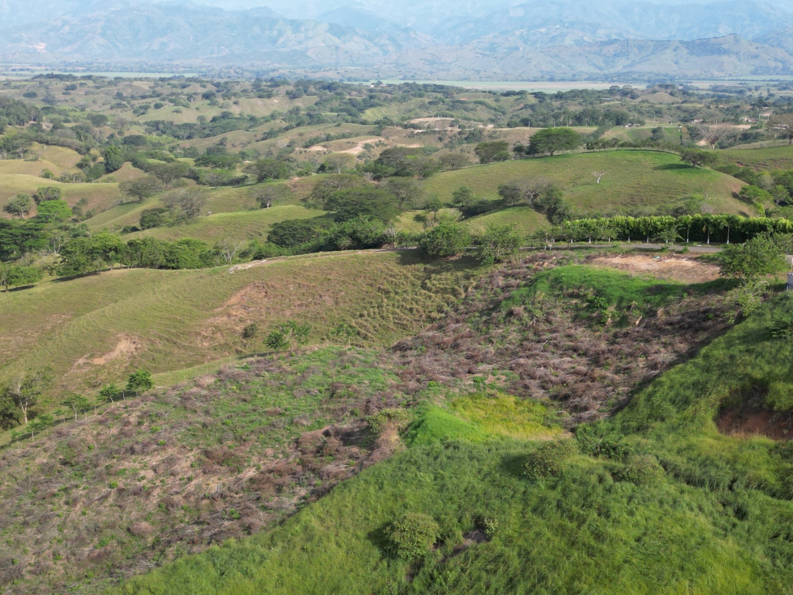 Lote en venta en Cerritos, Pereira, 11800 m² · foto 2 de 11