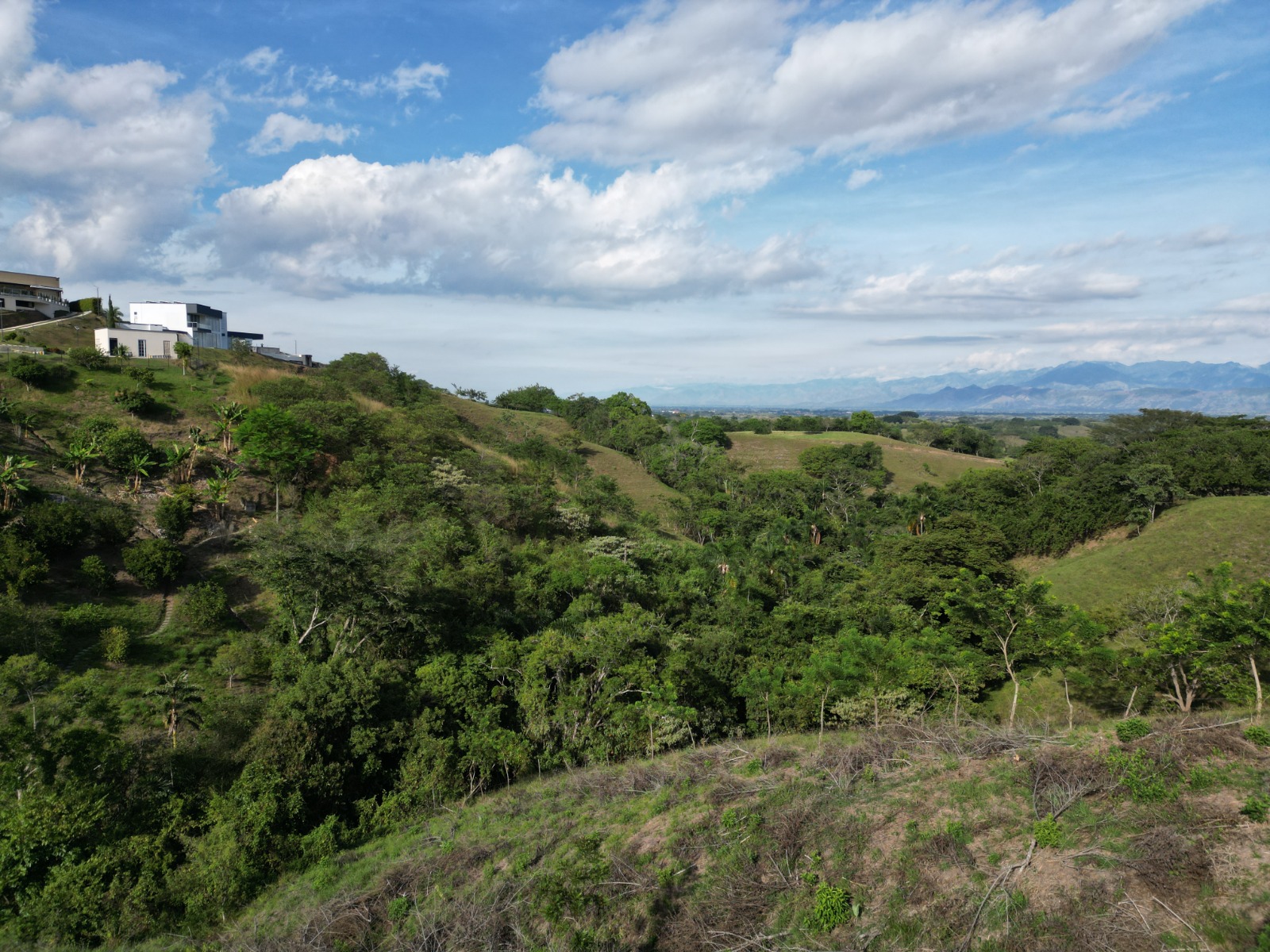 Lote en venta en Cerritos, Pereira, 11800 m² · foto 4 de 11