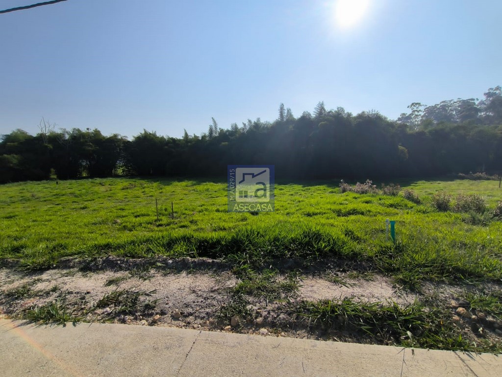 Lote en venta en El Volador, Piedecuesta, 1250 m² · foto 14 de 16