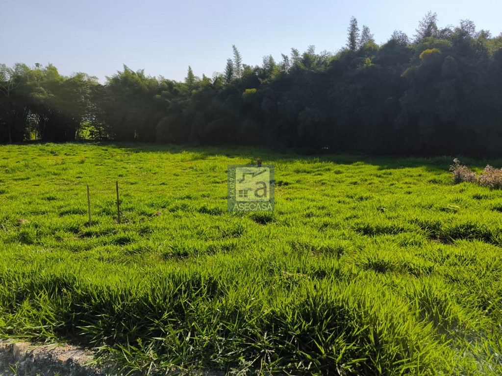 Lote en venta en El Volador, Piedecuesta, 1250 m² · foto 16 de 16