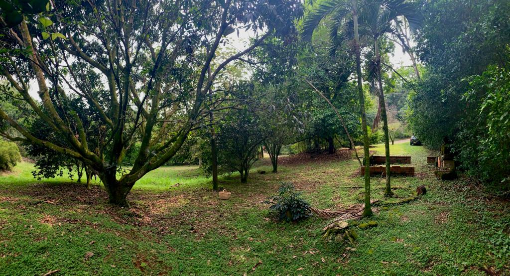 Finca en venta en San Vicente, Jamundí, 1250 m² · foto 4 de 14