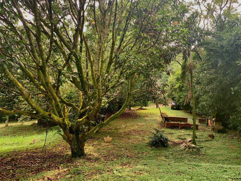Finca en venta en San Vicente, Jamundí, 1250 m² · foto 2 de 14