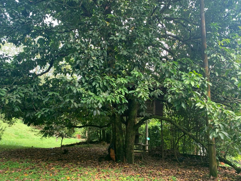 Finca en venta en San Vicente, Jamundí, 1250 m² · foto 3 de 14