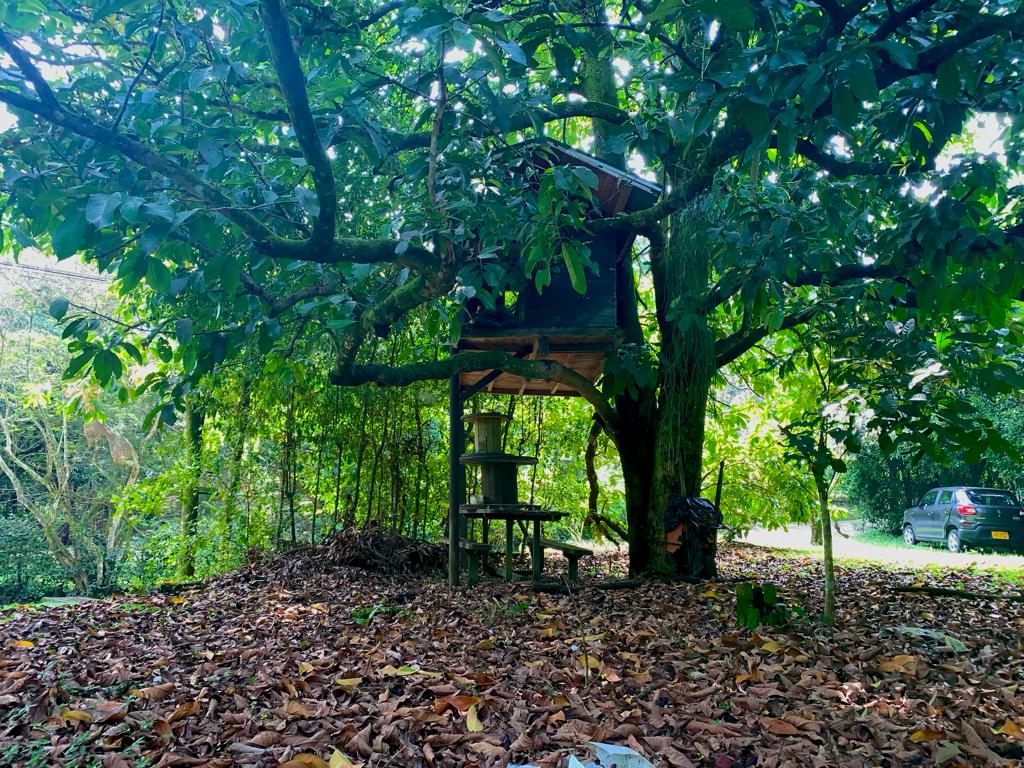 Finca en venta en San Vicente, Jamundí, 1250 m² · foto 5 de 14