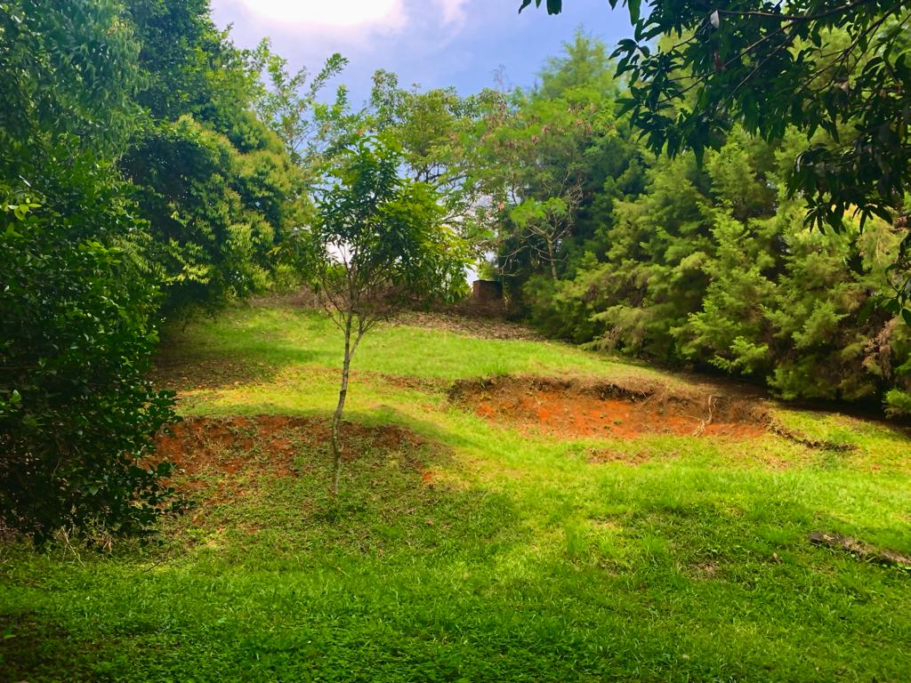 Finca en venta en San Vicente, Jamundí, 1250 m² · foto 7 de 14