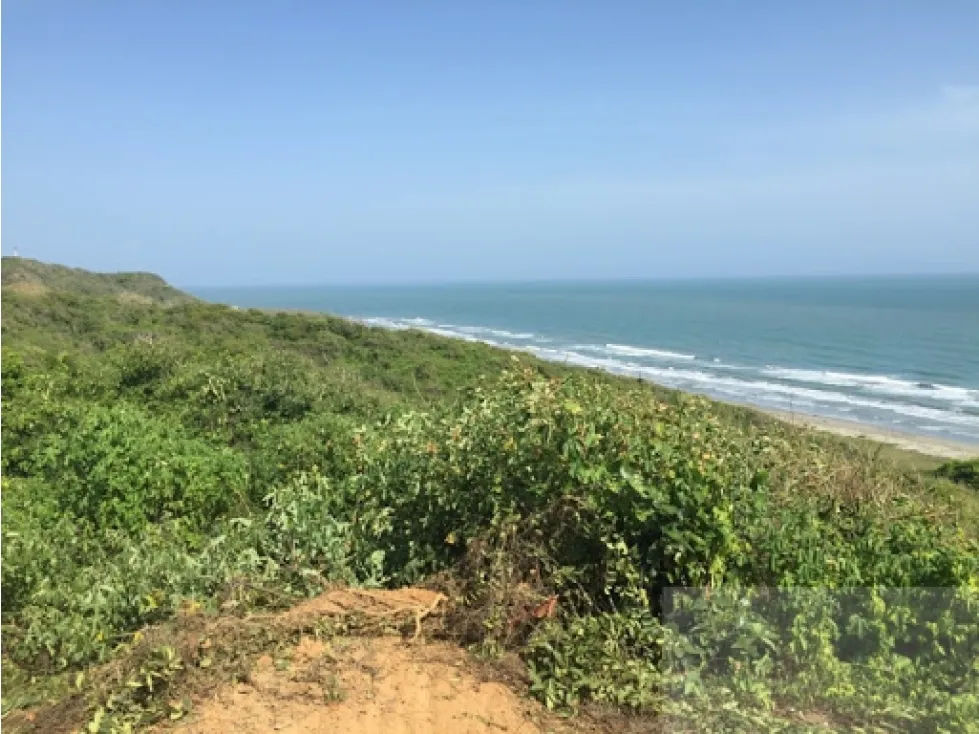Finca en venta en Punta Canoa, Cartagena · foto 8 de 10
