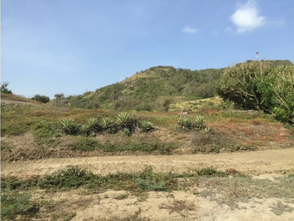 Finca en venta en Punta Canoa, Cartagena · foto 9 de 10
