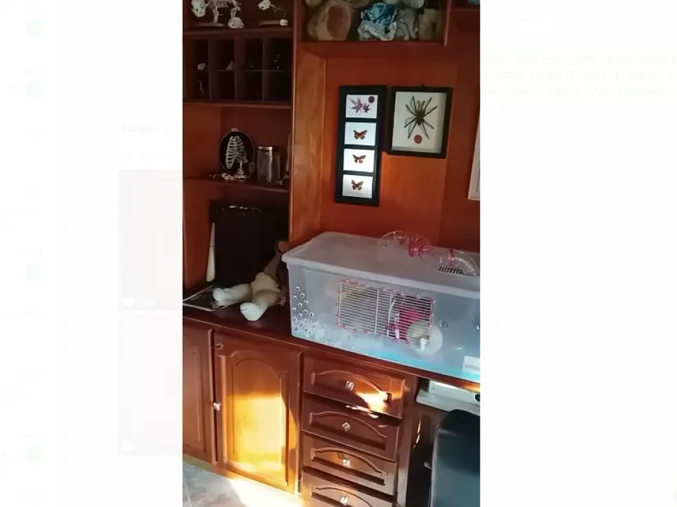 Apartamento en venta en El Portal, Envigado · foto 19 de 24