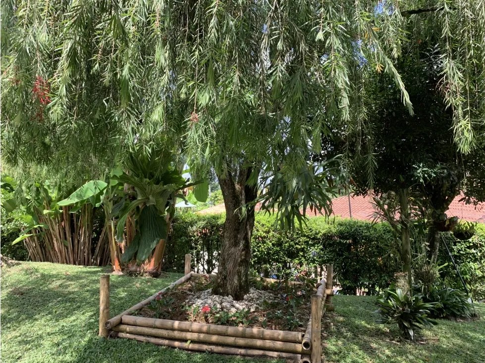 Casa de 5 alcobas en venta en Via El Eden, Armenia, 1500 m² · foto 10 de 24