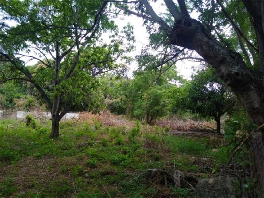 Lote en venta en Las Palmas, Ricaurte, 9640 m² · foto 11 de 11