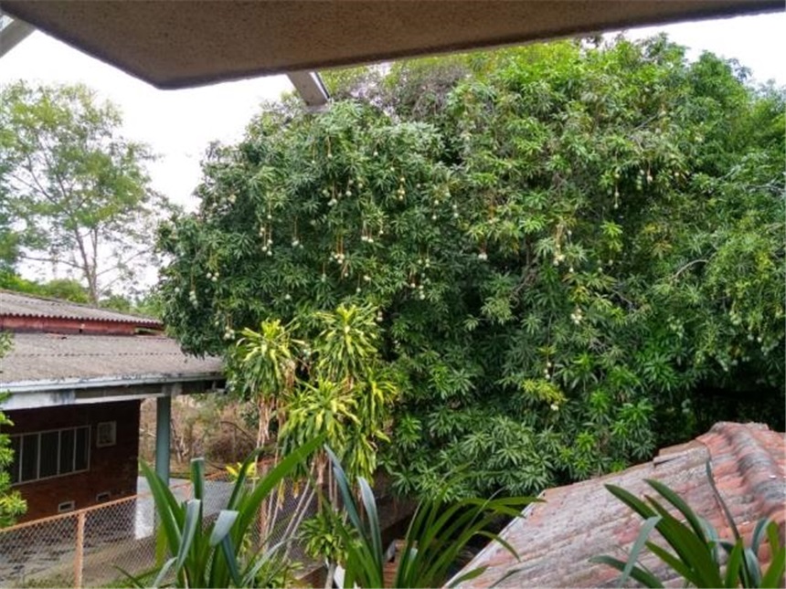 Lote en venta en Las Palmas, Ricaurte, 9640 m² · foto 8 de 11