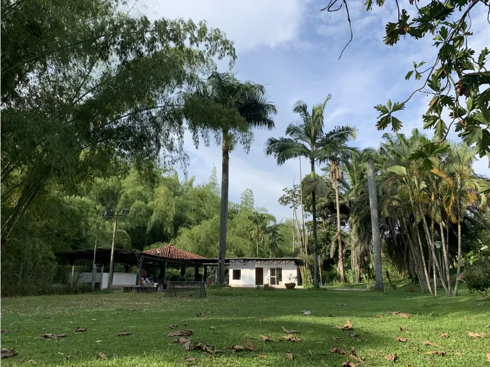 Finca en venta en Armenia, 20000 m² · foto 6 de 24