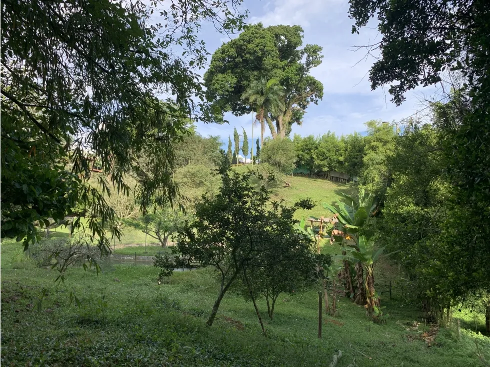 Finca en venta en Armenia, 20000 m² · foto 9 de 24