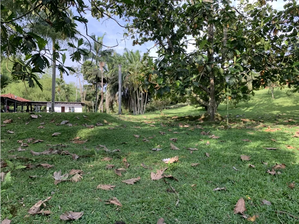 Finca en venta en Armenia, 20000 m² · foto 10 de 24