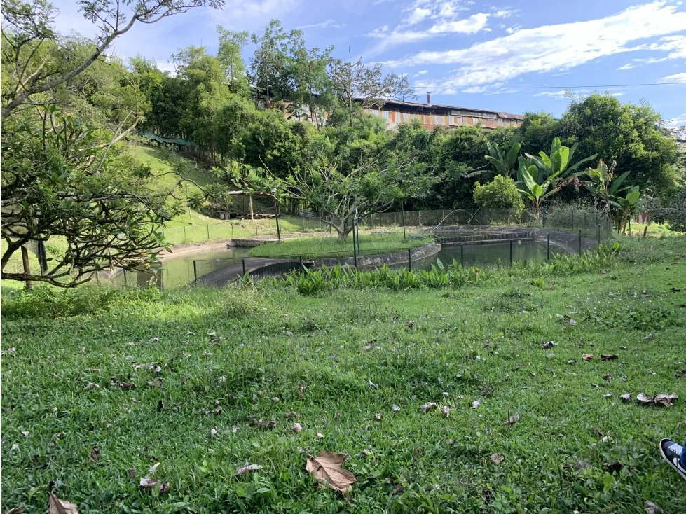 Finca en venta en Armenia, 20000 m² · foto 18 de 24