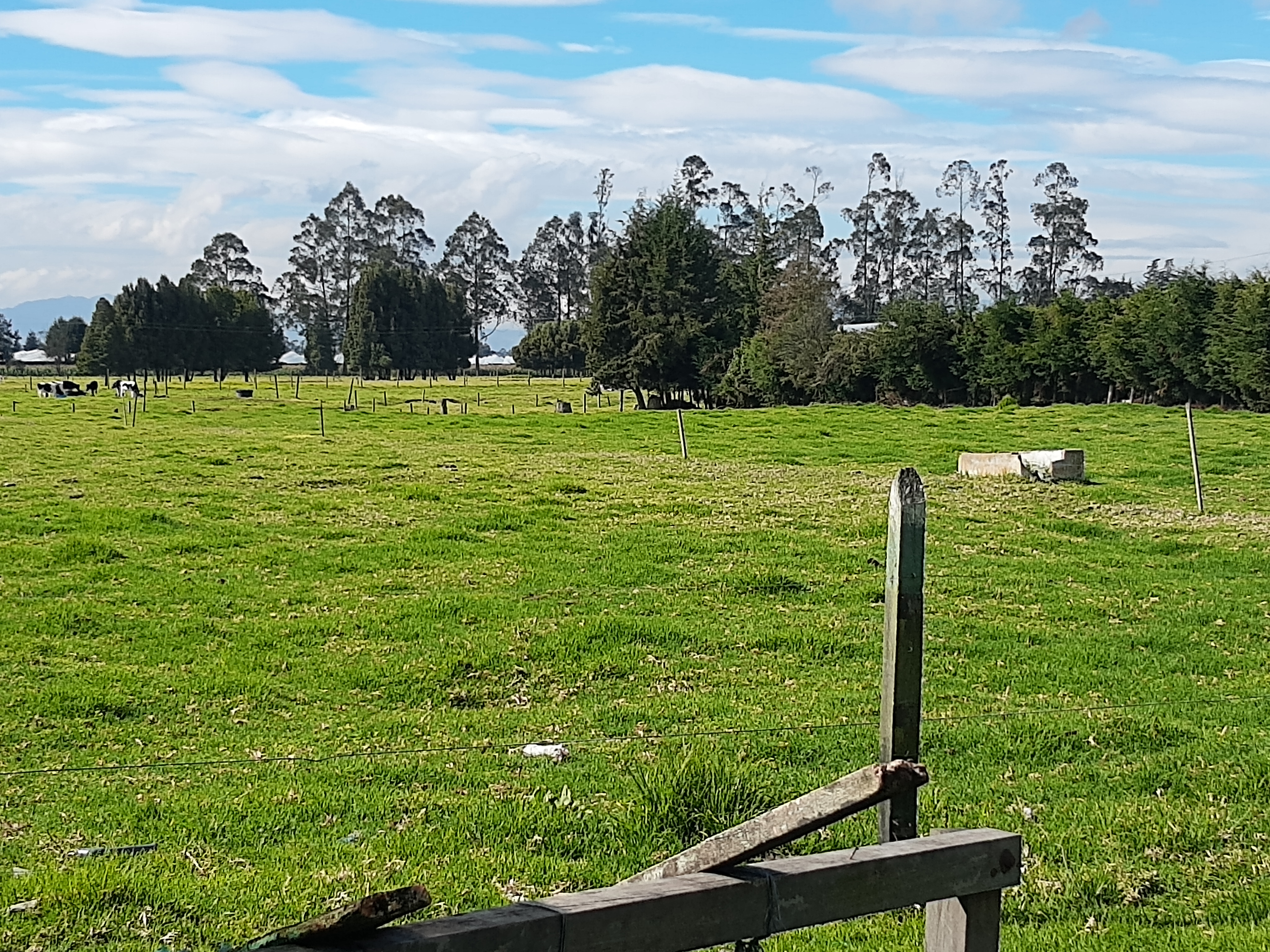 Lote en venta en Los Arboles, Madrid, 25000 m² · foto 10 de 12