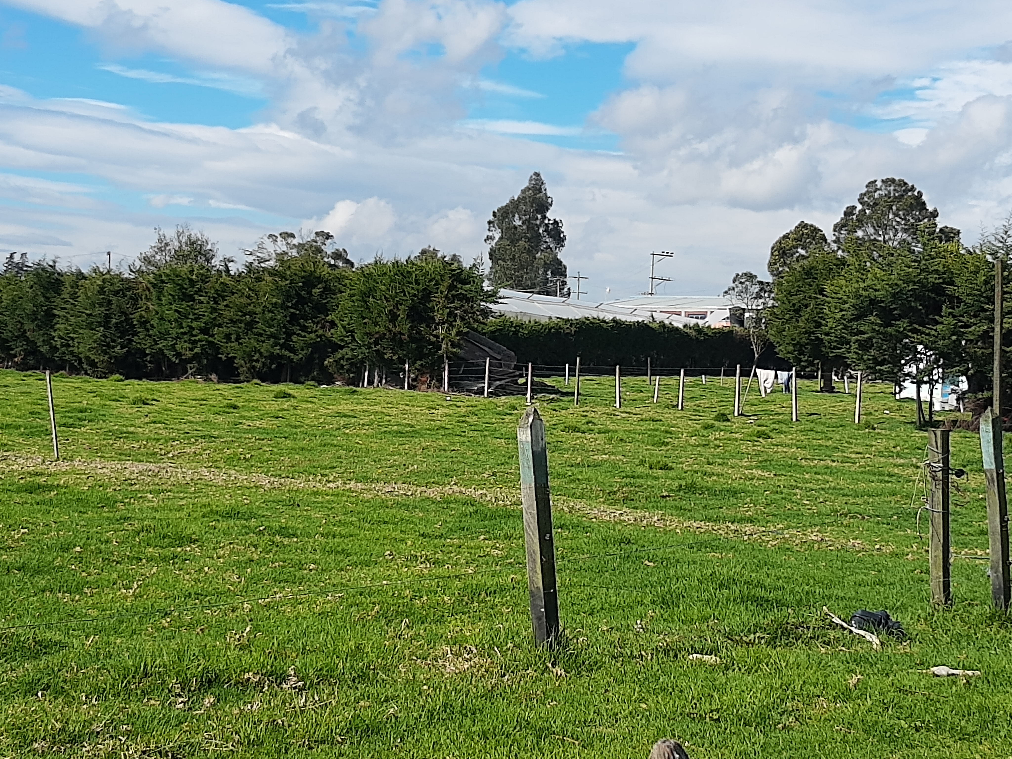 Lote en venta en Los Arboles, Madrid, 25000 m² · foto 11 de 12