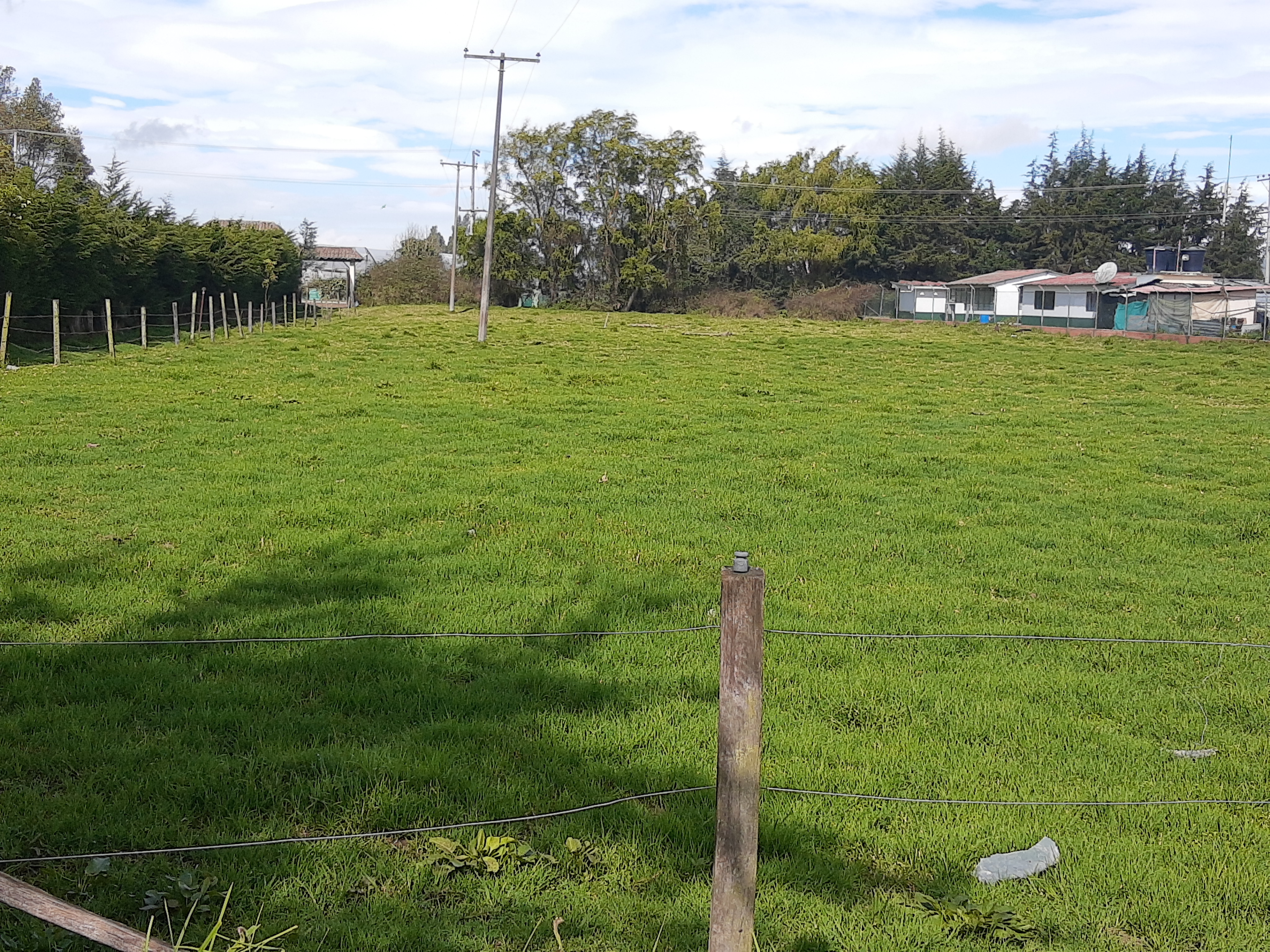 Lote en venta en Los Arboles, Madrid, 25000 m² · foto 2 de 12