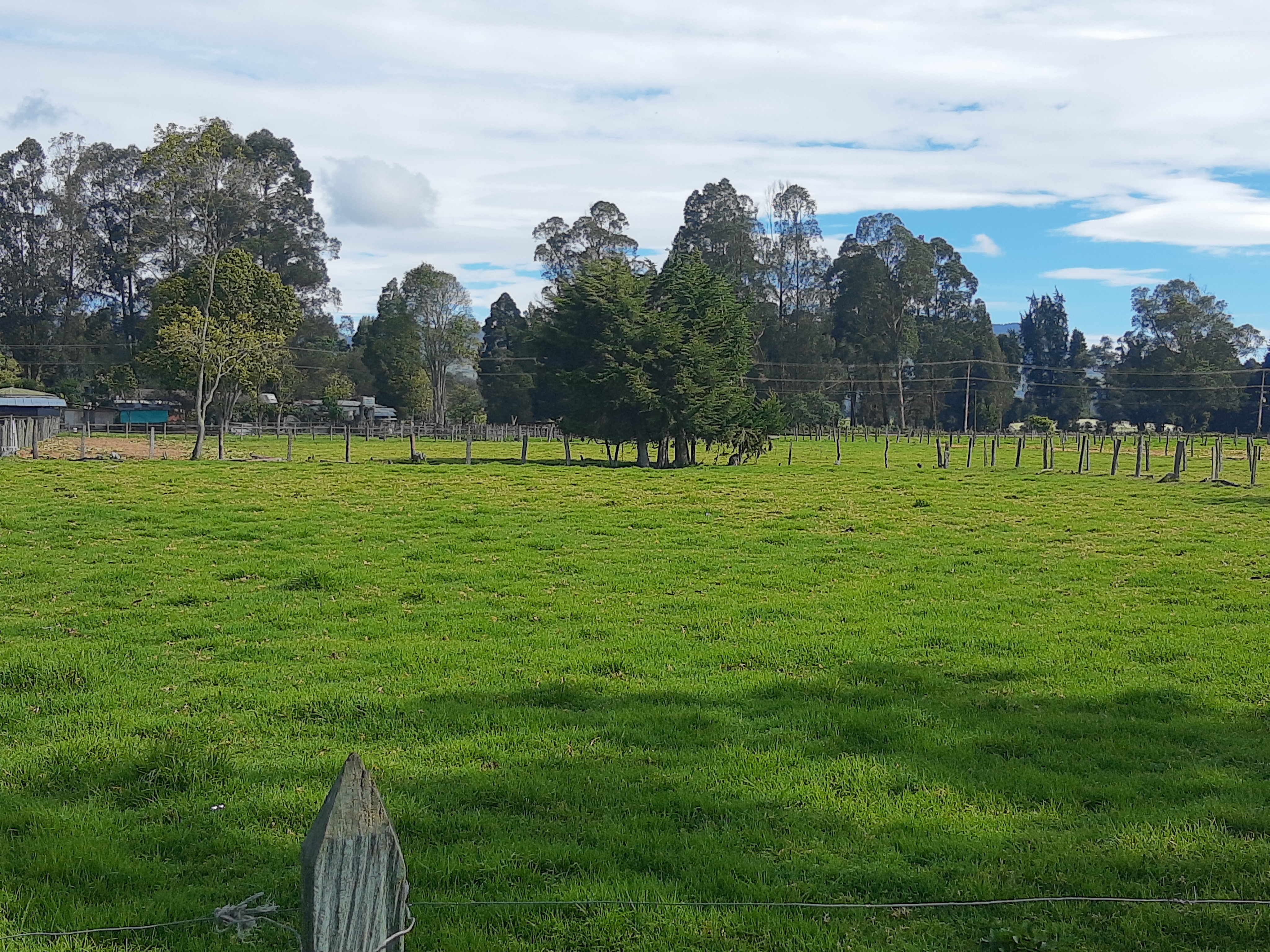Lote en venta en Los Arboles, Madrid, 25000 m² · foto 3 de 12
