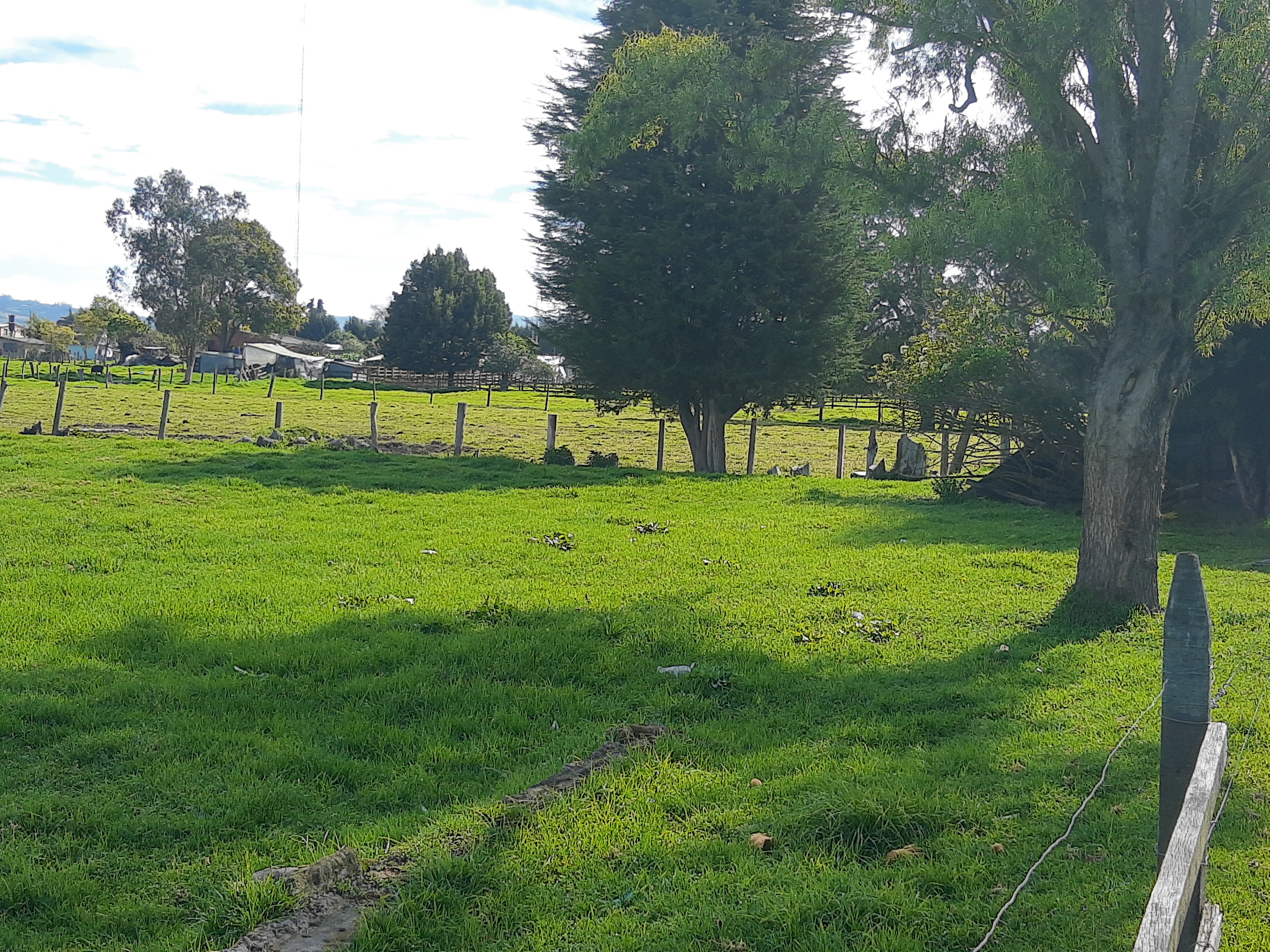 Lote en venta en Los Arboles, Madrid, 25000 m² · foto 4 de 12