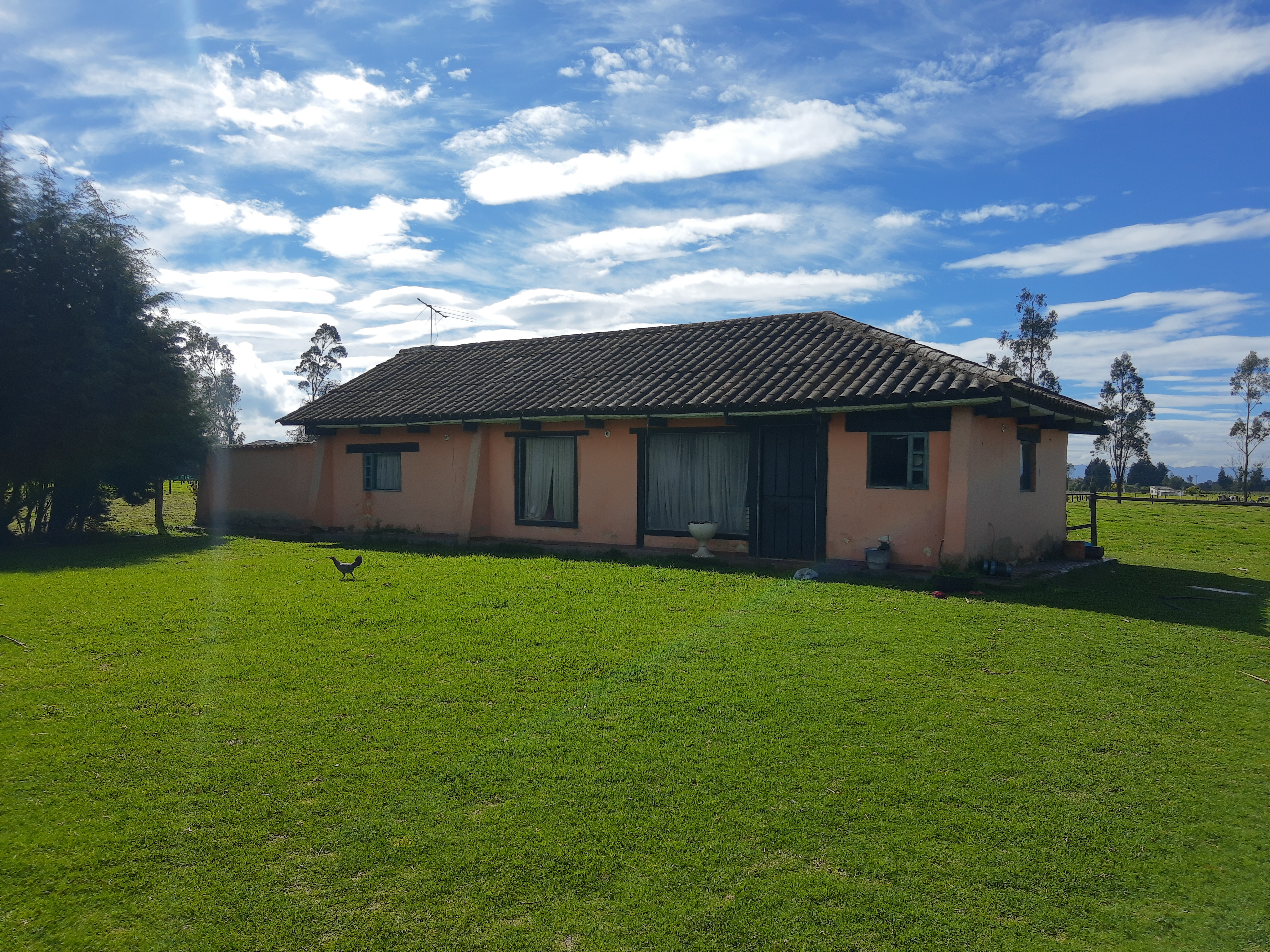 Lote en venta en Los Arboles, Madrid, 25000 m² · foto 7 de 12