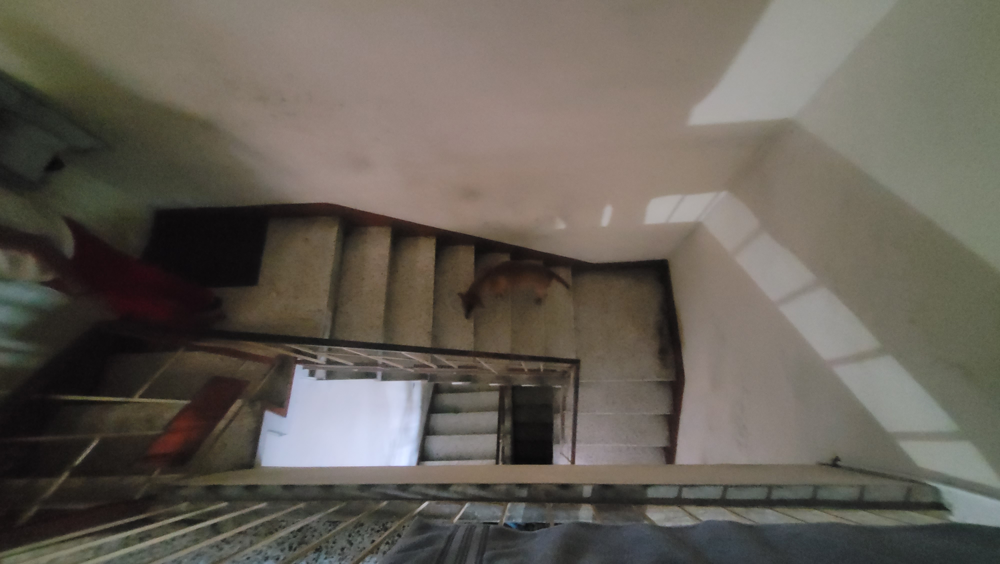 Casa de 6 alcobas en venta en Miraflores, Cali, 230 m² · foto 16 de 24