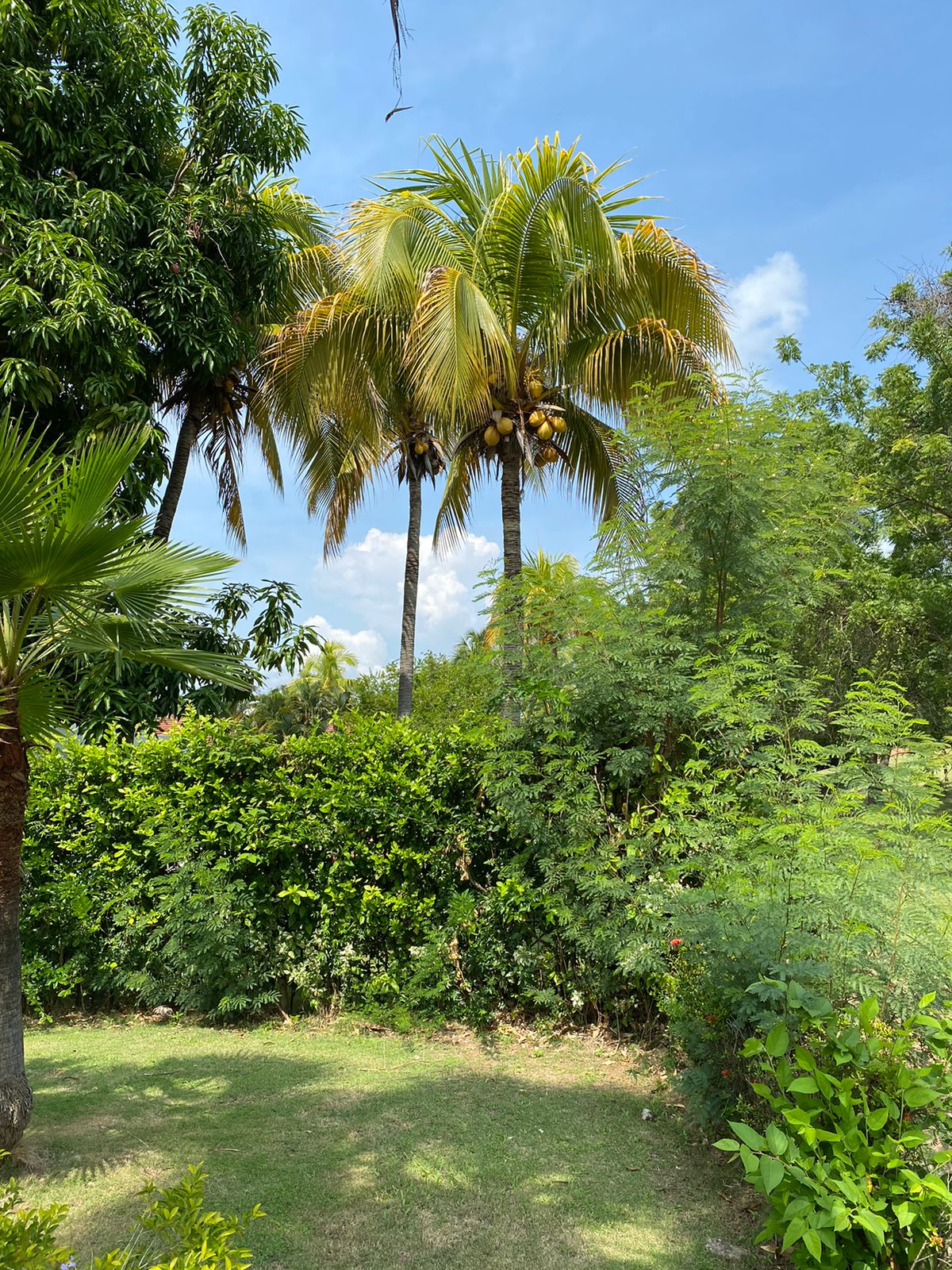 Casa de 4 alcobas en venta en Las Palmas, Ricaurte, 344 m² · foto 23 de 24