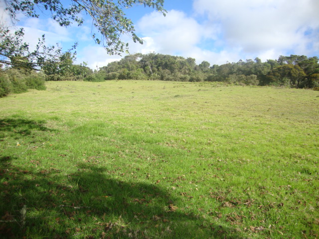 Lote en venta en Yerbabuena, Chía, 10036 m² · foto 11 de 17