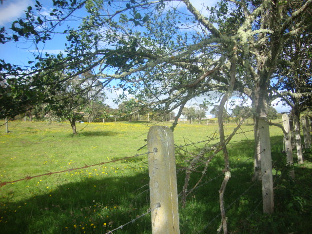 Lote en venta en Yerbabuena, Chía, 10036 m² · foto 10 de 17